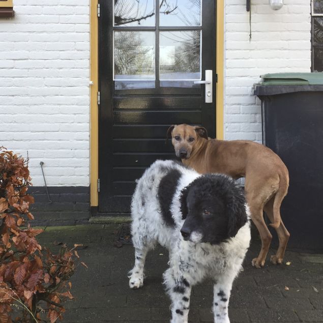 Mette is een dochter van Silke en Bono.